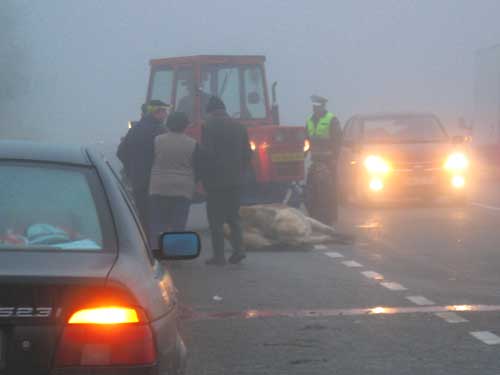 Foto accident cursa Azur Baia Mare (c) eMaramures.ro